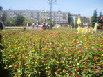 P6280028.JPG
