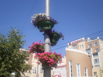 P6280030.JPG