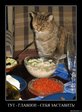 Прикол (1341)
