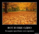 Прикол (2057)