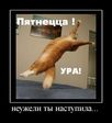 Прикол (1708)