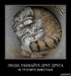 Прикол (2065)
