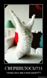 7wkn4le3ywa0