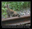 Прикол (1914)