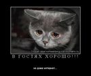 Прикол (1741)