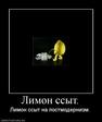 952921_limon-ssyit