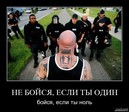 Прикол (2063)