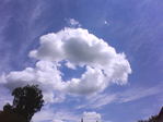 DSC00052 (1)