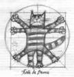 cot davinchi