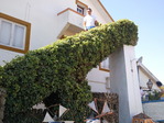 Photo0026