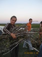 Алёна и дрова