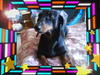 DSC00102