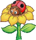 bokor24.gif