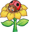 bokor24.gif