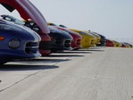vipers