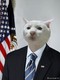 1232620168_obama_03