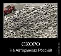 1300657343_demotivator-037