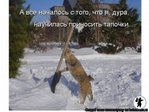 x_233c5d82