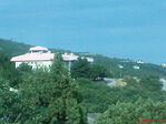 DSC00186