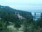 DSC00202