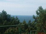 DSC00204