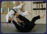 JuJitsu1