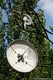 9309__MG_8925_1