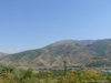 P1410494