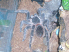SL270191