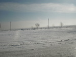 P2020024