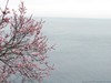 Изображение 0651