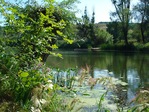DSC00972