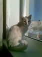 18012009_001.jpg