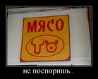 Масяня