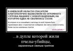 Писанина
