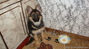 DSC00415