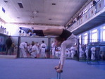 Photo-0005