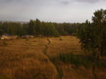 DSC06907