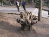 В парке Горького