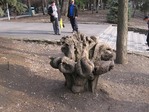 В парке Горького