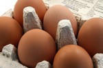photo-eggs