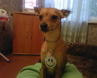 Photo-0354