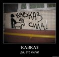 1241580499_9eas9iwk9ayb.jpg