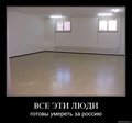 1242399133_1-15.jpg