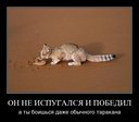 1238223493_11-2.jpg