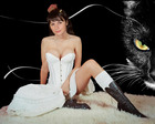 koshka