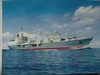SNV81476