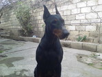Photo-0010