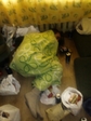 after party