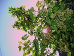 P1010021